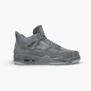 KAWS x Nike Air Jordan 4 Cool Grey